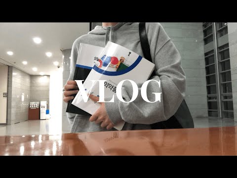 [VLOG] 약대생 2학년......약강 지박령이 되.....어버린 시험기간 브이로그