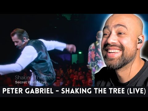 Shocking Performance! Peter Gabriel - Shaking The Tree (Live) | Guitarist Reaction