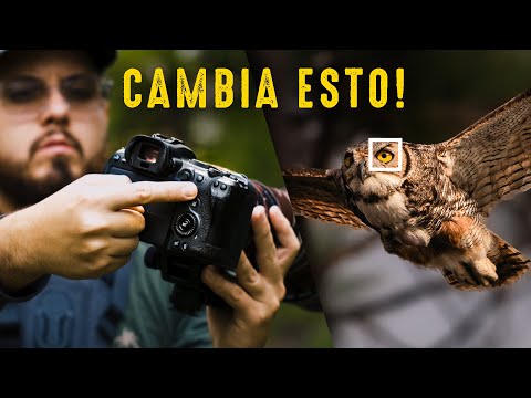 Las mejores CONFIGURACIONES para ENFOCAR aves con precisión 📸🦉