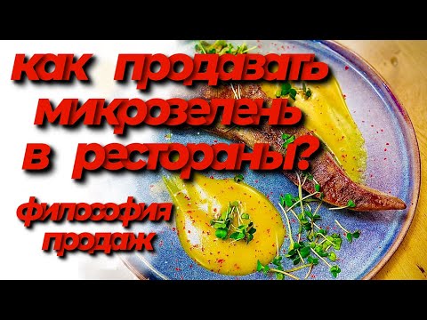 Как продавать микрозелень в рестораны? Продажи микрозелени! Философия продаж! Бизнес на микрозелени!