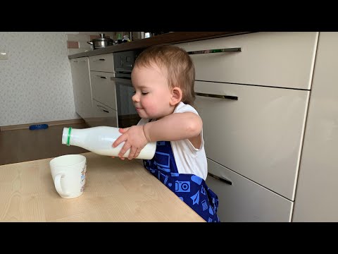 Полезные завтраки для детей. 5 рецептов