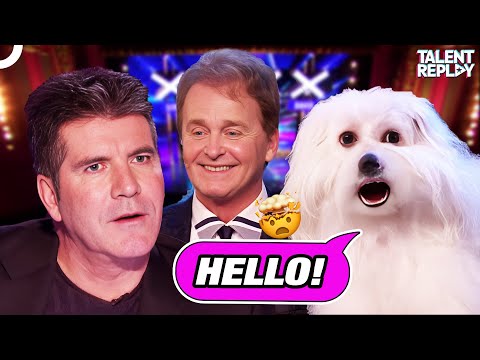 The Talking Dog Surprised Simon! | Britain's Got Talent
