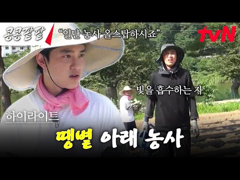 점점 업그레이드돼 가는 밭🌱 근데 우리 시즌2는 하지 마시죠... #유료광고포함 #highlight #콩콩팥팥 #콩심은데콩나고팥심은데팥난다 EP.3