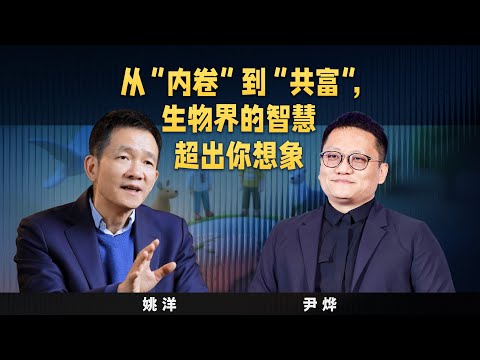 【思想者说】从“内卷”到“共富”，生物界的智慧超出你想象