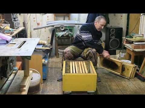 Гибель маток в изоляторах во время зимовки.