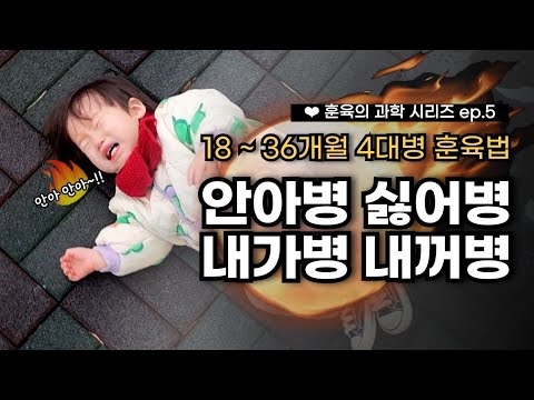 [훈육의 과학 시리즈 ep.5] 18개월 ~ 36개월 🔥 피할 수 없는 안아병, 싫어병, 내가병, 내꺼병 훈육법 총정리