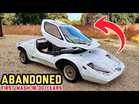 I Bought an Abandoned 80s Supercar - First Wash in 30 Years!