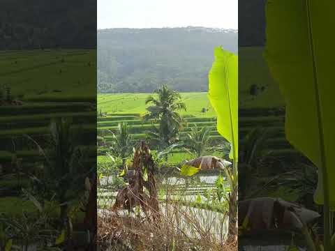 katanya pake sound ini tembus jutaan guys...🤔🤲🏼