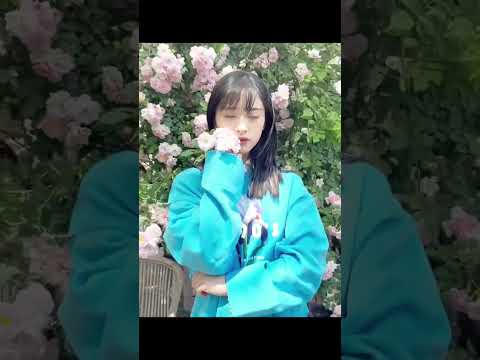 #shorts Shen Yue was so sweet in her early days, no wonder she's the nation's first love！| #shenyue