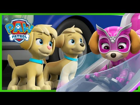 Skye Meets the Mighty Twins and MORE - PAW Patrol - Cartoons for Kids
