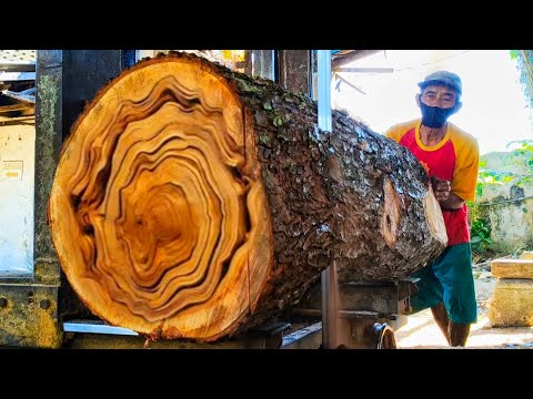 Revealing the beautiful texture behind the large mahogany wood at the sawmill 