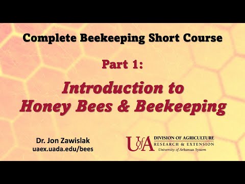 Part 1: Intro to Beekeeping
