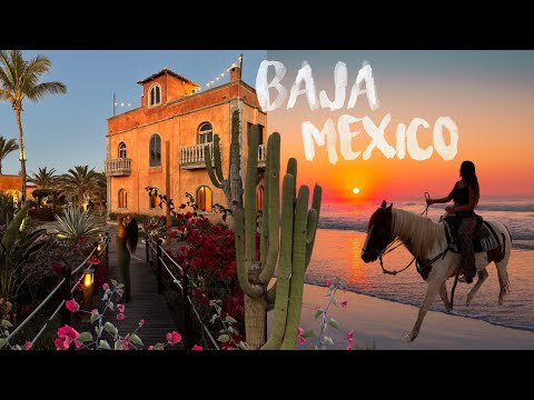 Baja Mexico travel diary 🌵🌅 exploring La Paz & Todos Santos