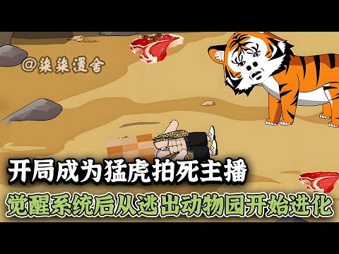 重生成为老虎，有作死的主播竟然敢来摸我屁股，突然唤醒了我脑海中的老虎灵魂，下意识对着主播一巴掌打过去！《开局成为猛虎拍死主播，觉醒系统后从逃出动物园开始进化》  #柒柒漫舍 #animation