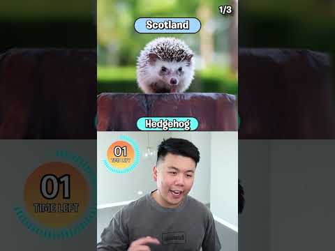 Do You Know The Countries National Animals?