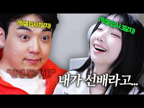 회사 막낸데 신입이 들어왔다