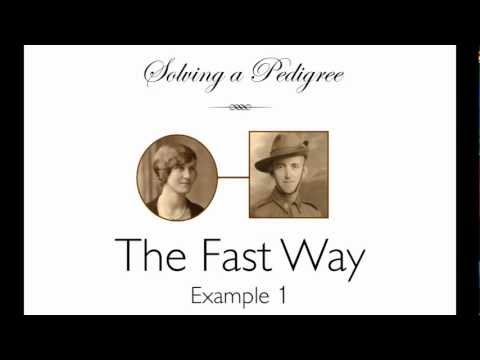 Solving a Pedigree - the Fast Way (example 1)