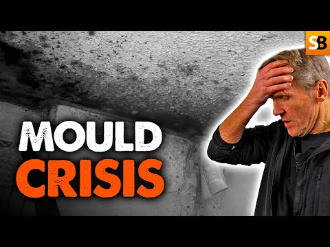 The Truth About Awaab’s Law - What the Headlines Didn’t Tell You