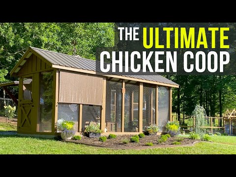 Best Chicken Coop In NC! - Cedar Mountain Coop Tour