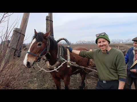 Грузовик сломался — пересел на лошадь! Ремонт самодельного грузовика!