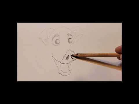 Sketch #3 - Happy Pig, Graphite - Drawing Timelapse