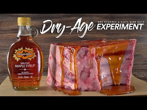 I DRY-AGED Steaks in Maple SYRUP for 1/2 Year and ate it!