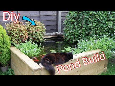 DIY Raised Pond Build (1500L) | Sleepers, Plants & Fancy Goldfish