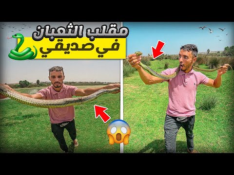 العيش الحر: أخطر مقلب في صديقي بي ثعبان🐍 خطير شوف أشنو وقع ميمكنش😱😂