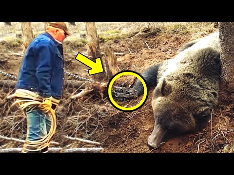 Mann hilft weinendem Bären aus Falle. Was dann geschah, ist unglaublich