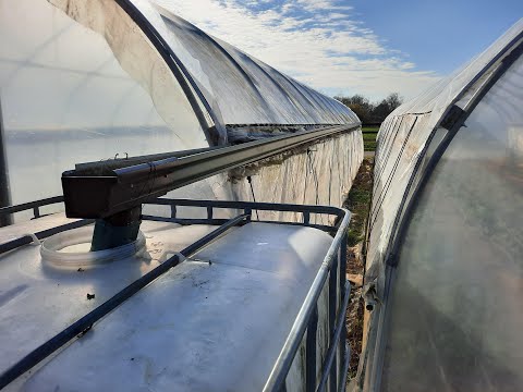 Rainfed Drip Irrigation (Ultra Low Pressure)