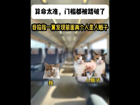 《北野大佬》 1-7集合集纯享版#猫meme #猫meme小剧场