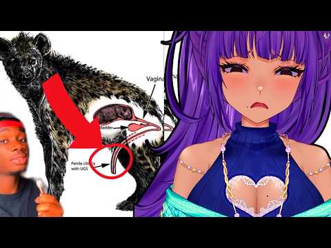 Designed to FAIL?! || FIRST TIME Casual Geographic Reaction