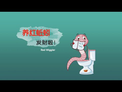 【蚯蚓养殖】83•园艺/用免费的纸箱就能养蚯蚓，吃的是垃圾，拉的是黄金，绝对值得一试