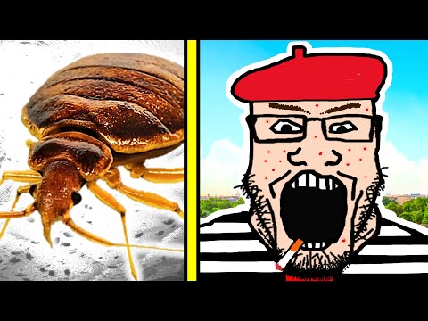 BEDBUGS IN PARIS