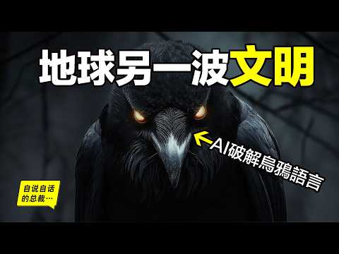 AI deciphers the crow's language and confirms: This is another civilization on Earth; humans are ...