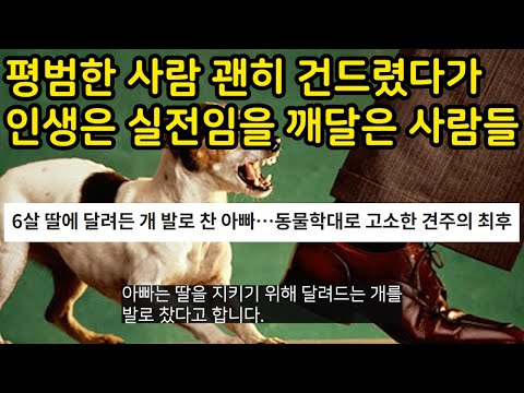 평범한 사람 괜히 건드렸다가 인생은 실전임을 깨달은 사람들