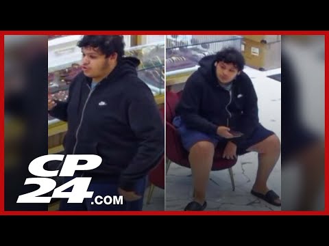 Toronto police release images of man facing several fraud-related charges