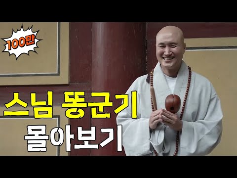 부처님 오신날 특집