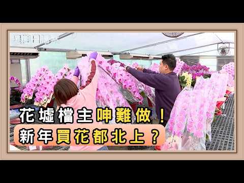 本地年花生意急跌！北上消費衝擊花墟？｜新聞 | 時事 | 資訊節目 | 星期日檔案｜Sunday Report