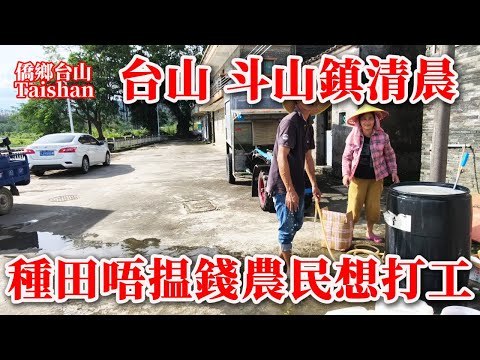 台山 Toisan 斗山鎮鄉間公路清晨風光秀美丨從山頸圩開車到斗山圩吃早餐便宜又好吃丨現代農民大吐苦水生活成本大丨種田不如去打工丨2025年10月29日更新 #chinavillagelife