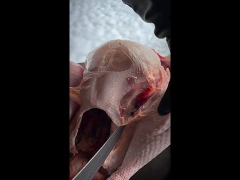 Grillhunters Turkey Legs