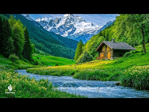 Start a New Week with Peace – Gentle Music to Soothe Your Soul