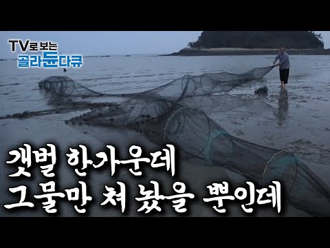 갯벌에 그물 하나 쳐 놓기만하면 평생을 먹고 사는 사람들｜한국기행｜#골라듄다큐