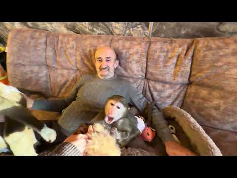 Lucy and Anfisa got along so well that Anfisa is even JEALOUS of her, like everyone else.