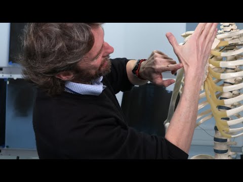 Anatomical snuff box