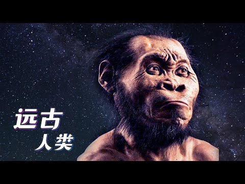 古人类和现代人的分界点在哪？没有过渡物种吗？每块化石都显得那么突兀【宇宙自然生命简史】