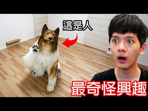 【尊】那些小眾到你根本沒聽過的「最奇怪興趣」! ? 竟然有人為了成為狗花了幾十萬 ? ?【第二頻道】