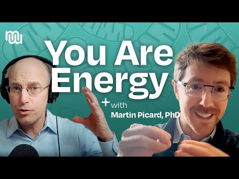 How Mitochondria Shape Your Mind, Mood, & Mental Health with Dr. Martin Picard