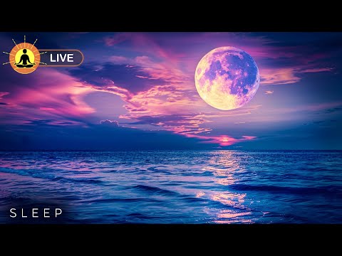 This livestream has ended. We will release a new version of this livestream soon. See link below.