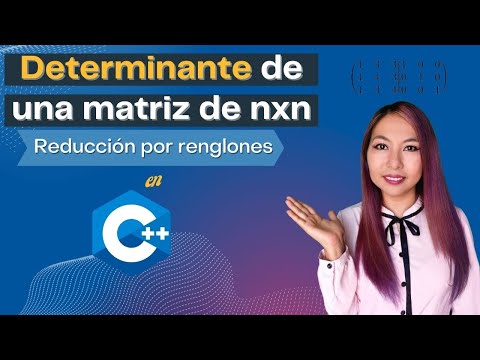Cómo calcular la determinante de una matriz de nxn en C++ (reducción por renglones)
